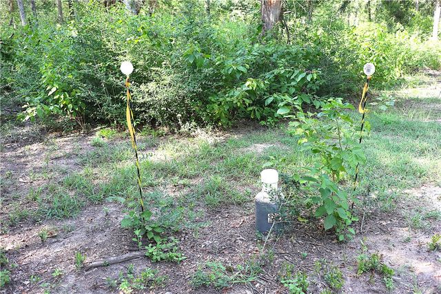 TBD Sawmill Road, Franklin, TX 77856