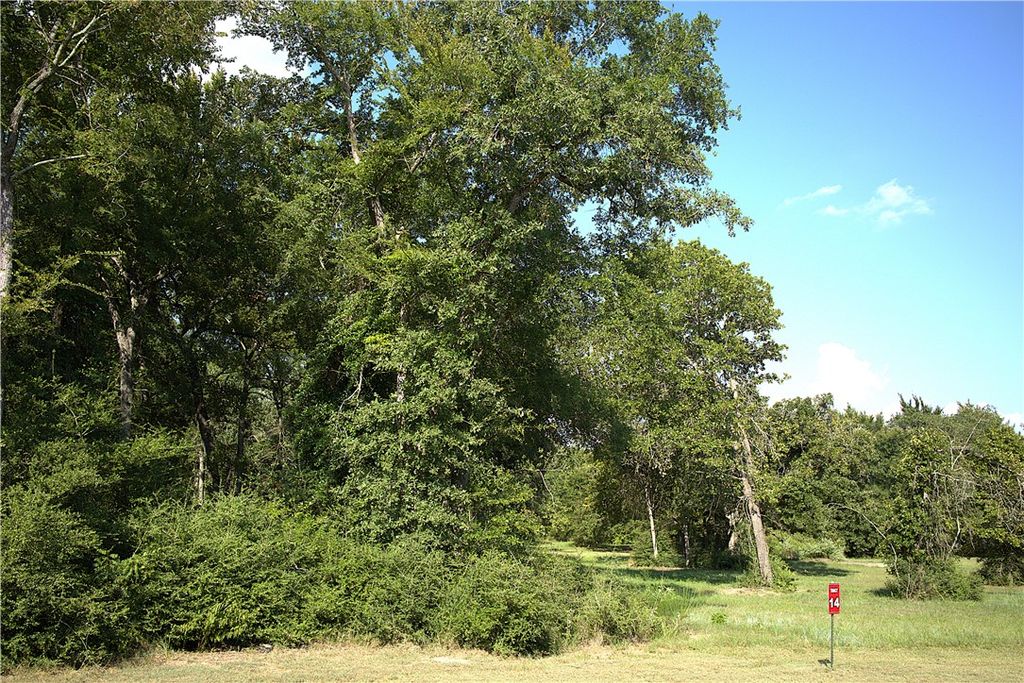 Lot 14 Sawmill Road, Franklin, TX 77856 — photo 3