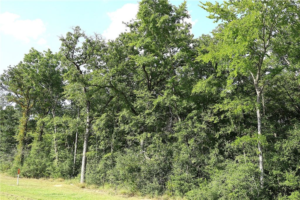 Lot 14 Sawmill Road, Franklin, TX 77856 — photo 4