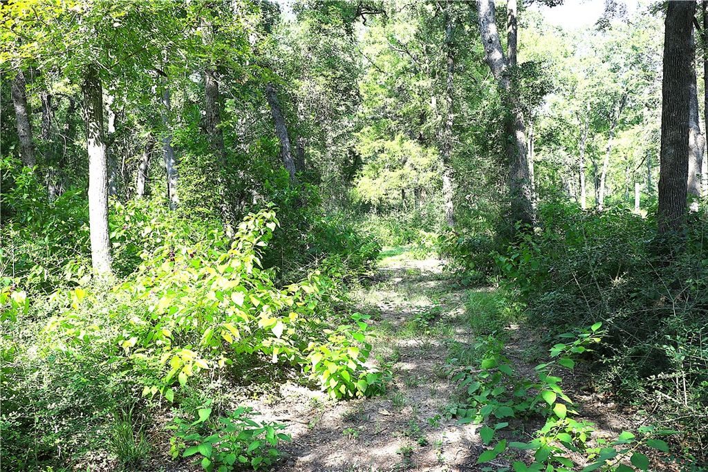 Lot 14 Sawmill Road, Franklin, TX 77856 — photo 5