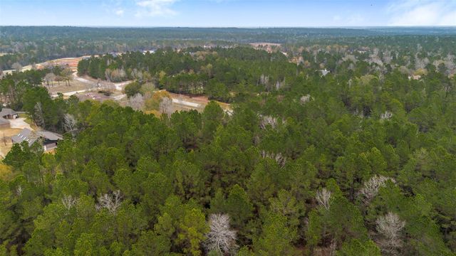 4504 Mistywood Court, Montgomery, TX 77316