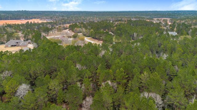 4504 Mistywood Court, Montgomery, TX 77316