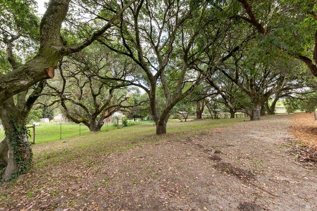 520 Fair Ave, Petaluma, CA 94952