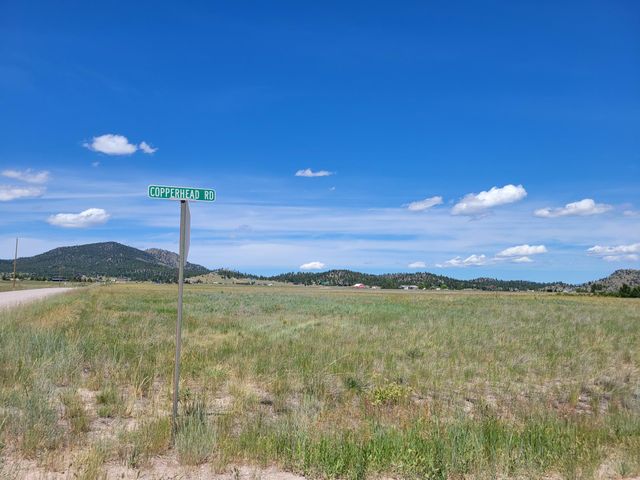 680 Copperhead Road, Helena, MT 59602