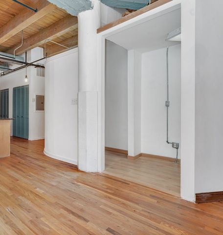 2310 S Canal Street 212, Chicago, IL 60616