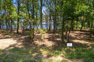 TBD PR 52447, Leesburg, TX 75451