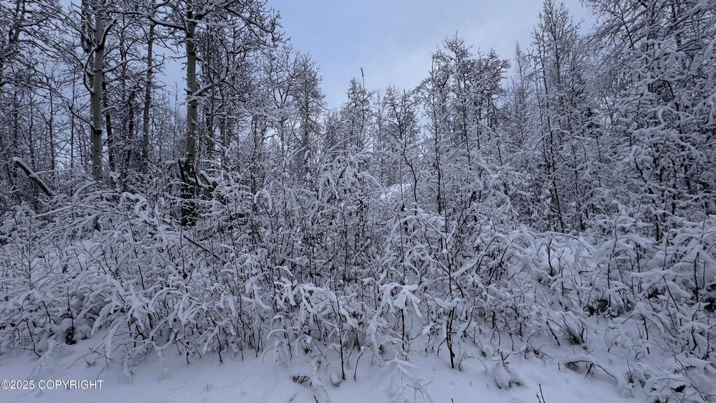 48609 S Tussle Circle, Willow, AK 99688