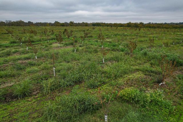 12380 Bellevue, Yuba City, CA 95991