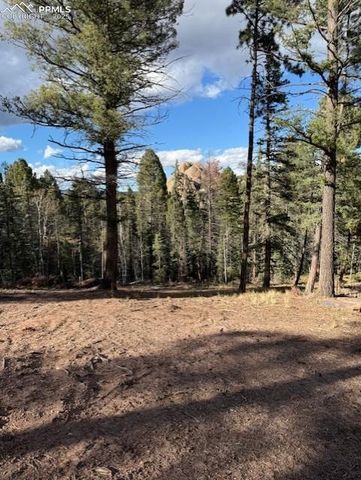 195 Oxford Place, Florissant, CO 80816