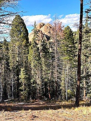 195 Oxford Place, Florissant, CO 80816