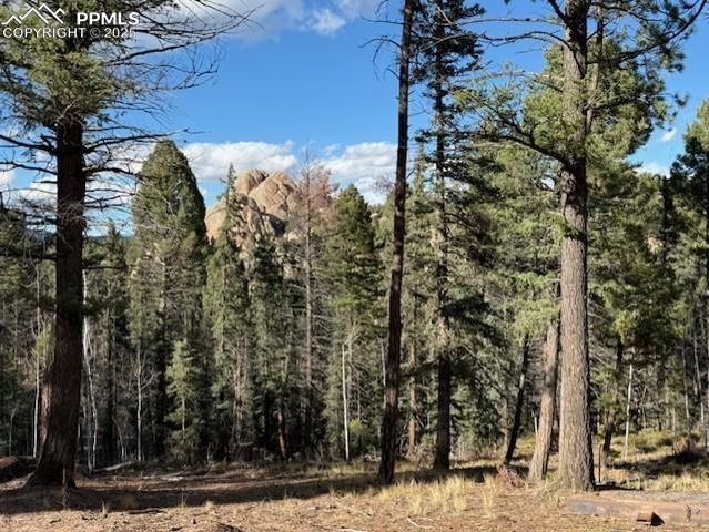 195 Oxford Place, Florissant, CO 80816