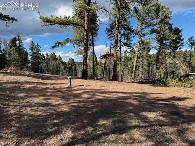 195 Oxford Place, Florissant, CO 80816