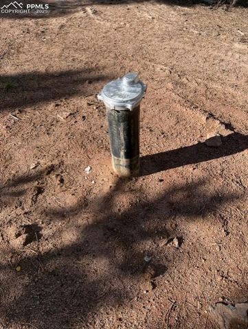 195 Oxford Place, Florissant, CO 80816