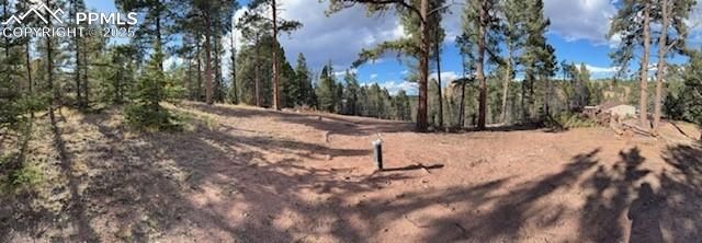 195 Oxford Place, Florissant, CO 80816