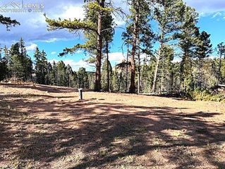 195 Oxford Place, Florissant, CO 80816