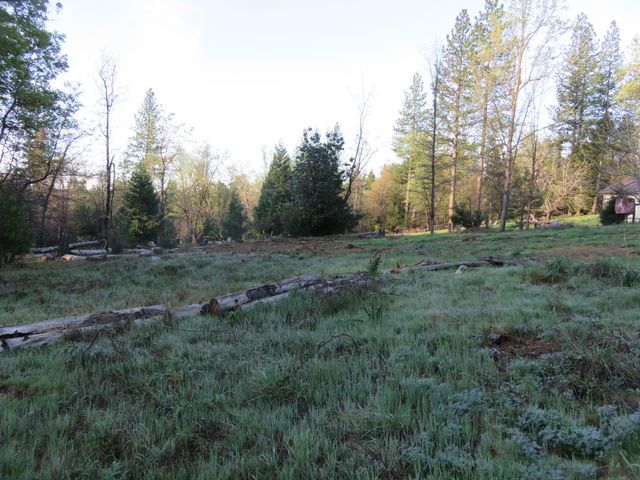 190 Bald Mountain Rd, West Point, CA 95255