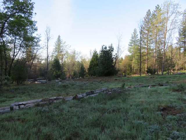 190 Bald Mountain Rd, West Point, CA 95255