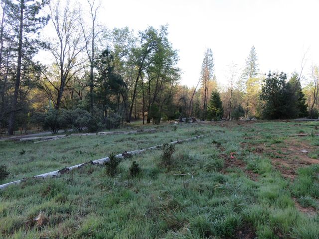 190 Bald Mountain Rd, West Point, CA 95255