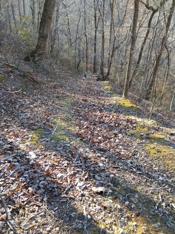 1064 Cathcart Road, Dowelltown, TN 37059