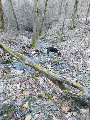 1064 Cathcart Road, Dowelltown, TN 37059