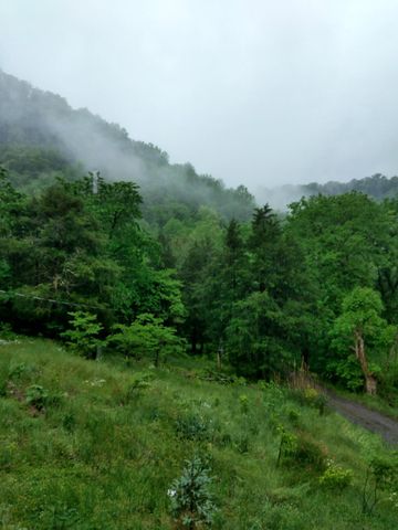 1064 Cathcart Road, Dowelltown, TN 37059