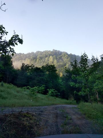 1064 Cathcart Road, Dowelltown, TN 37059