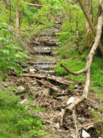 1064 Cathcart Road, Dowelltown, TN 37059