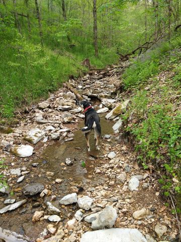 1064 Cathcart Road, Dowelltown, TN 37059