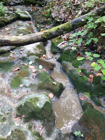 1064 Cathcart Road, Dowelltown, TN 37059