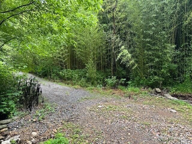 1064 Cathcart Road, Dowelltown, TN 37059