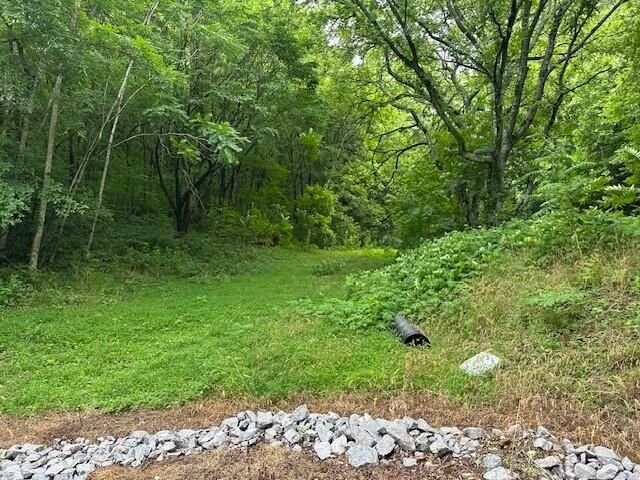 1064 Cathcart Road, Dowelltown, TN 37059