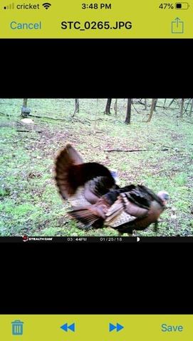 1064 Cathcart Road, Dowelltown, TN 37059