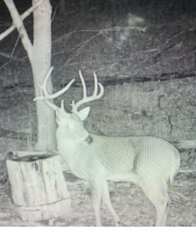 1064 Cathcart Road, Dowelltown, TN 37059