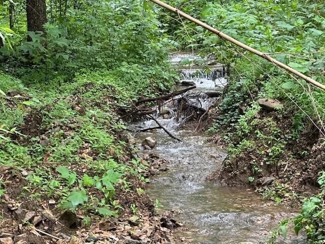 1064 Cathcart Road, Dowelltown, TN 37059