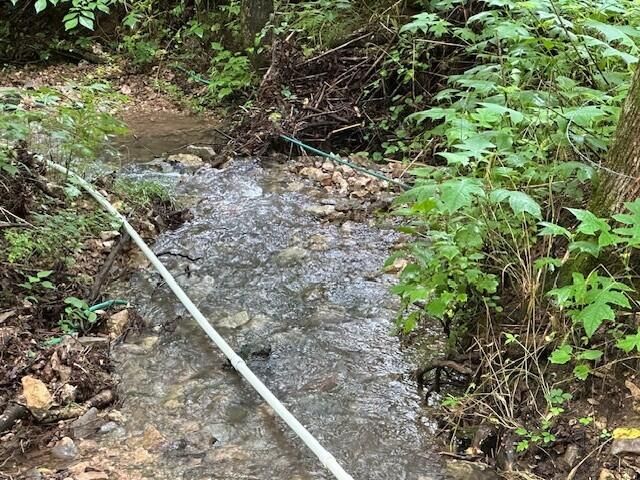 1064 Cathcart Road, Dowelltown, TN 37059