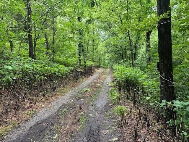 1064 Cathcart Road, Dowelltown, TN 37059