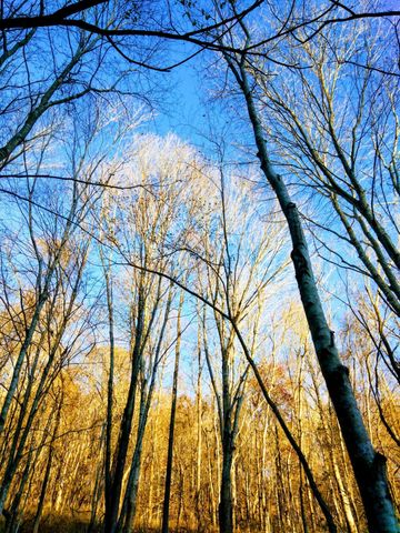 1064 Cathcart Road, Dowelltown, TN 37059