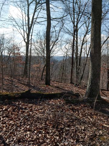 1064 Cathcart Road, Dowelltown, TN 37059