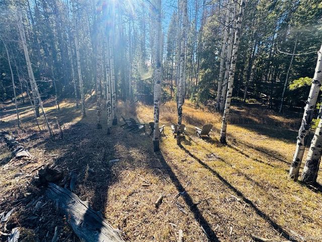 Lot 216620 Indian Springs Road, Conifer, CO 80433