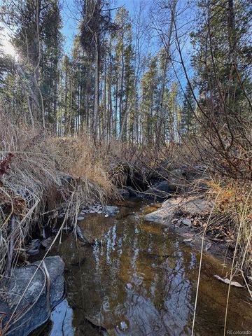 Lot 216620 Indian Springs Road, Conifer, CO 80433