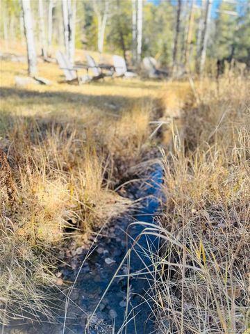 Lot 216620 Indian Springs Road, Conifer, CO 80433