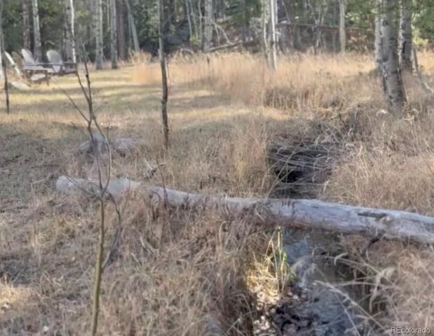 Lot 216620 Indian Springs Road, Conifer, CO 80433