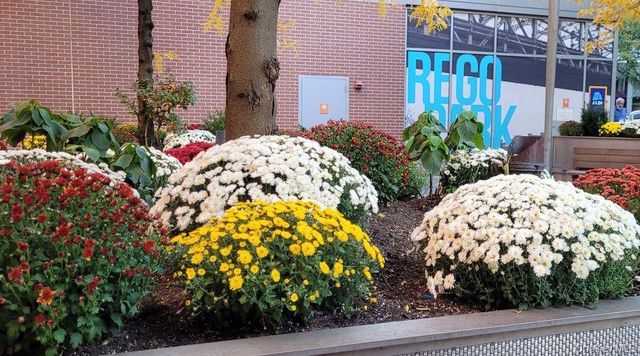 61-35 98th Street 15A, Rego Park, NY 11374