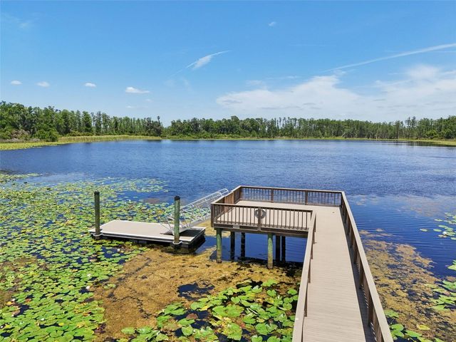 1741 CHERRY WALK ROAD, Lutz, FL 33558