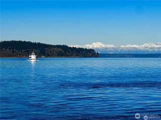 11321 LAKE JOSEPHINE Boulevard, Anderson Island, WA 98303