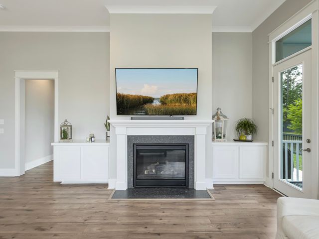 2290 Braided Lane, Mount Pleasant, SC 29466