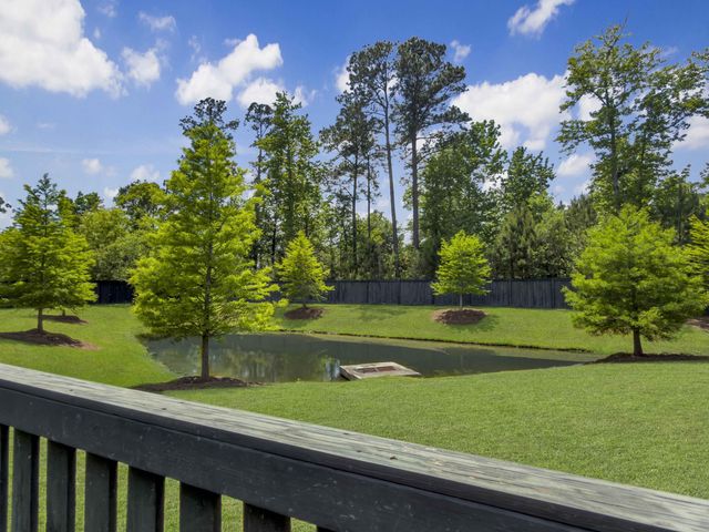 2290 Braided Lane, Mount Pleasant, SC 29466