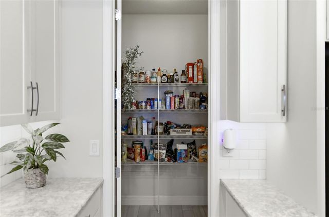 11903 GREENCHOP PLACE, Riverview, FL 33579