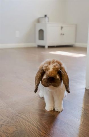 4301 NW 51st Street, Kansas City, MO 64151