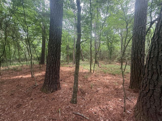 TBD Bilnoski Road, Willis, TX 77378